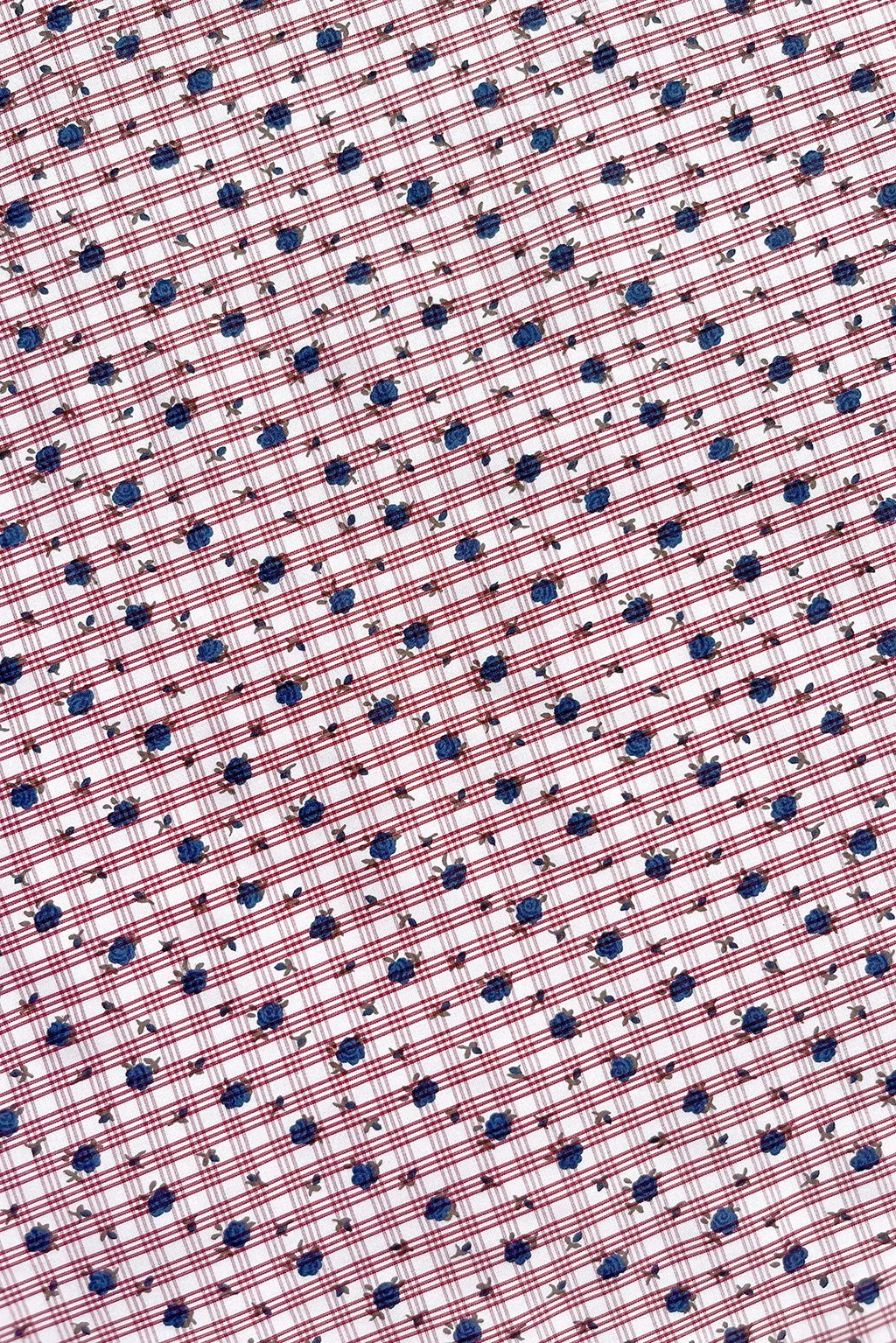 italian cotton with check and blue rose print c.jpg