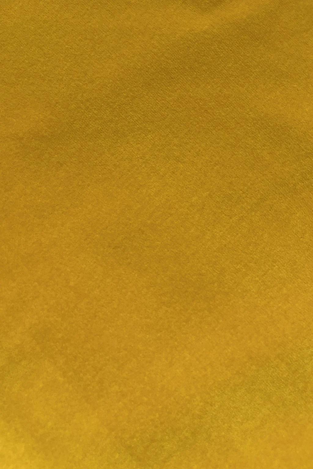 Italian cotton velvet in mustard yellow6.jpg