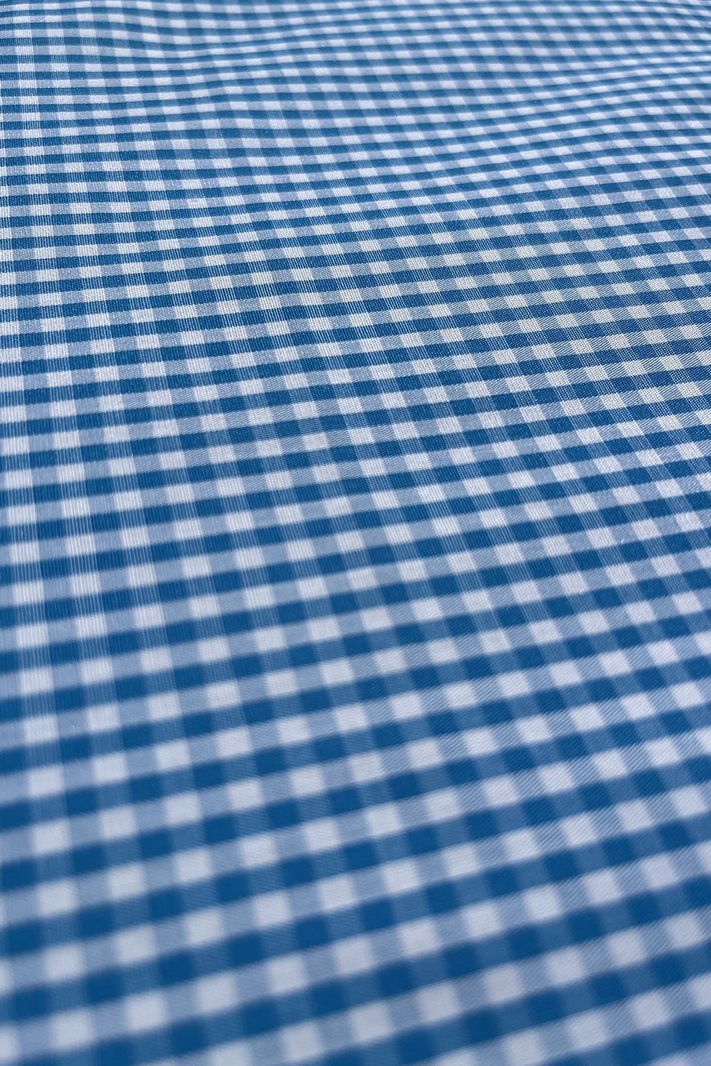 mini gingham in cerulean blue5.jpg