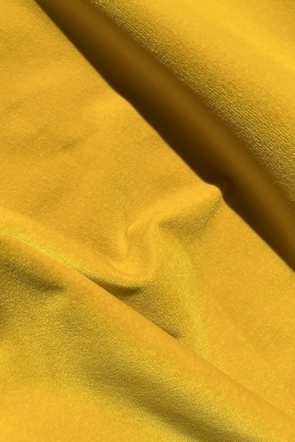 Italian cotton velvet in mustard yellow5.jpg
