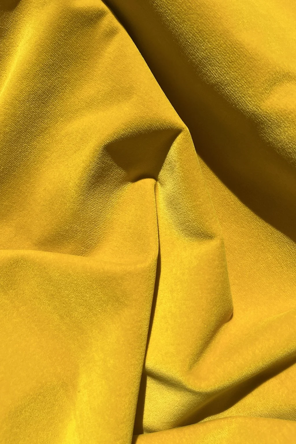 Italian cotton velvet in mustard yellow b.jpg