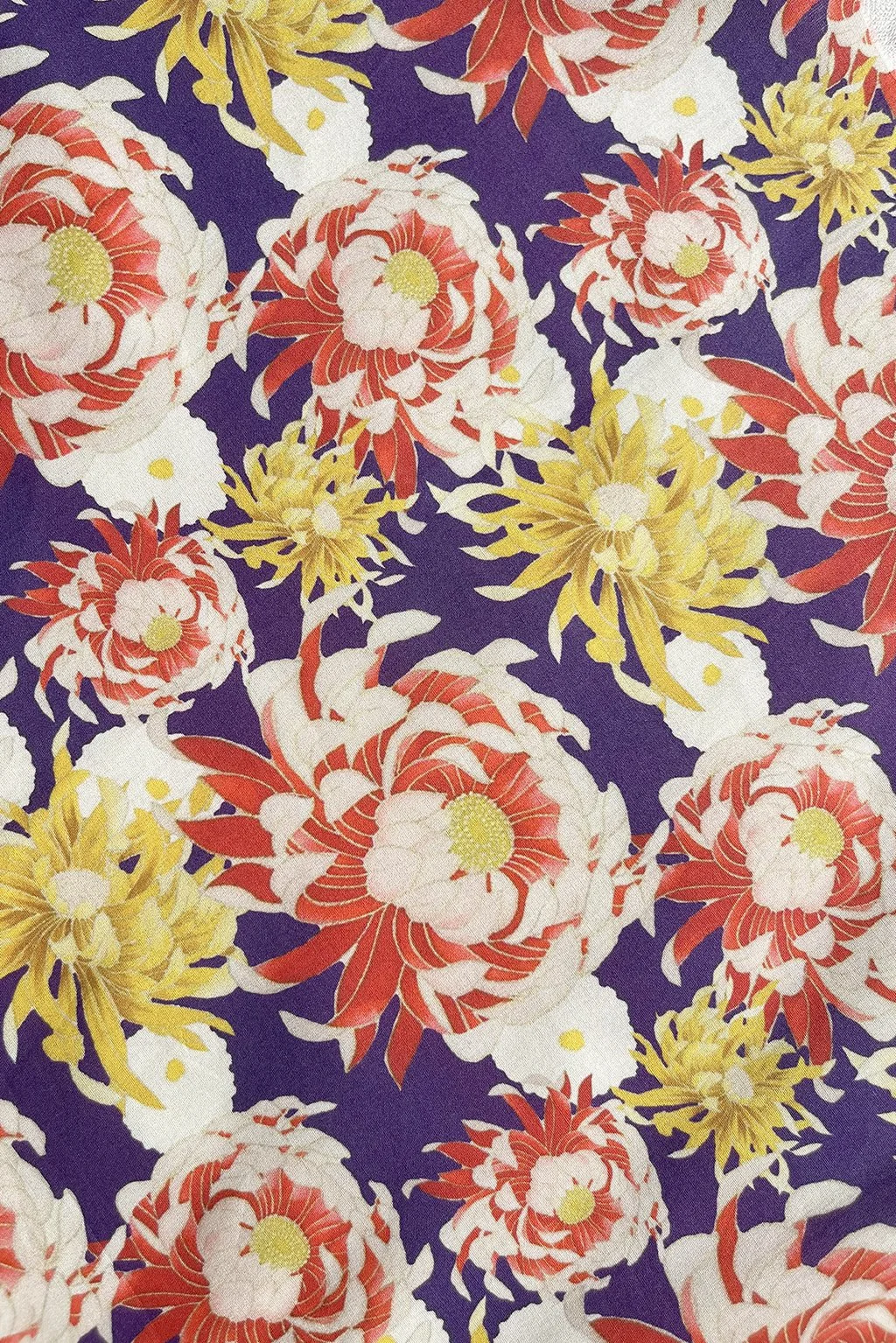 Chrysantemum remnant1.jpg