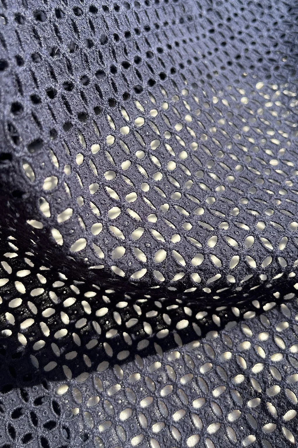 Broderie anglais remnant.jpg