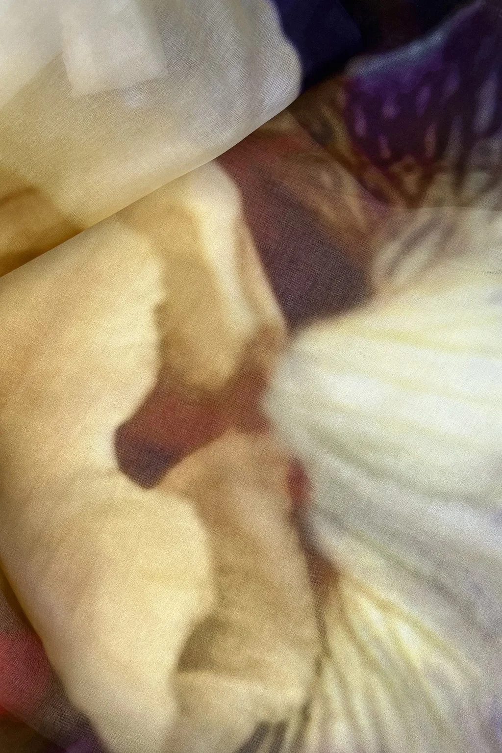 iris voile10.jpg