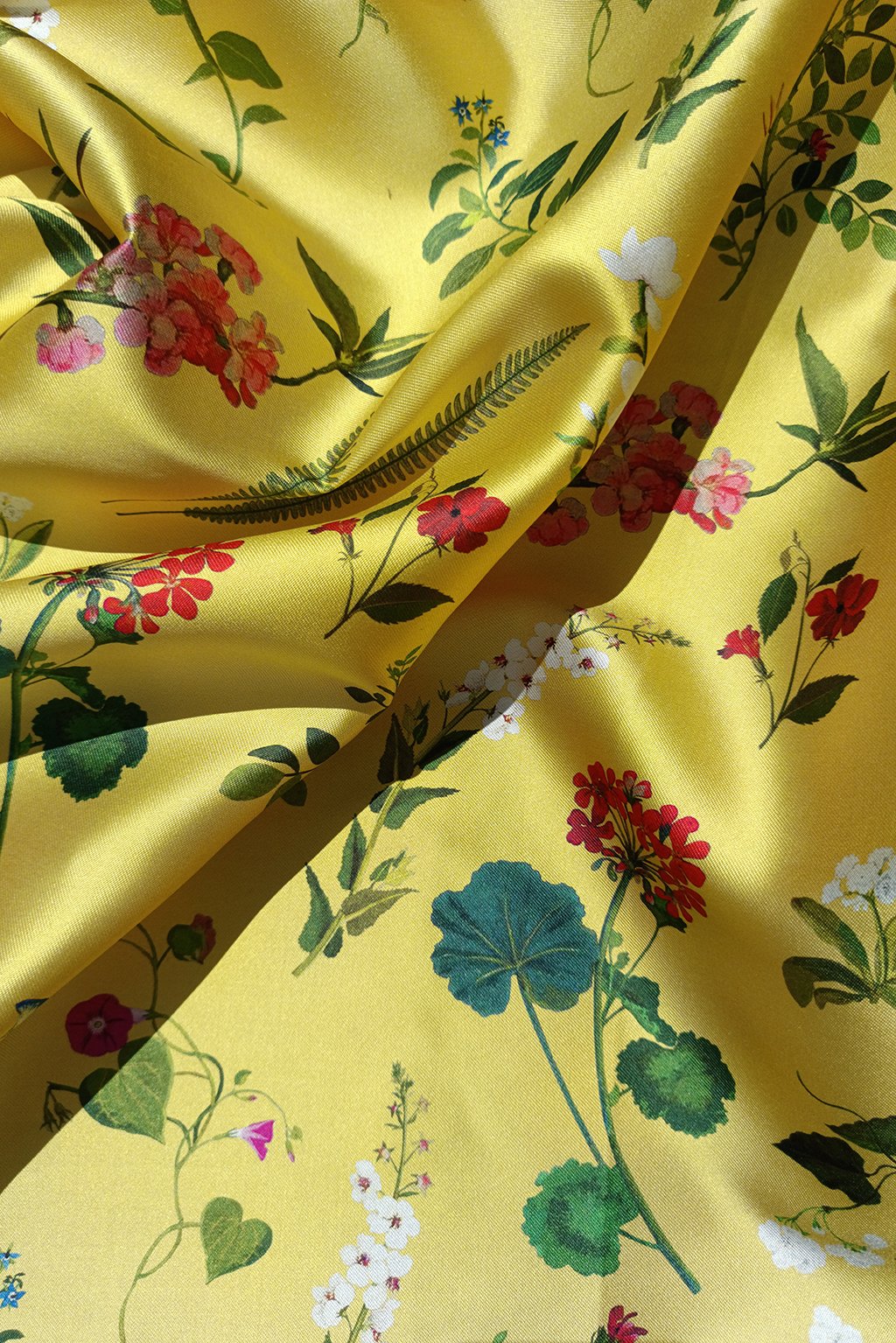 geranium yellow a.jpg
