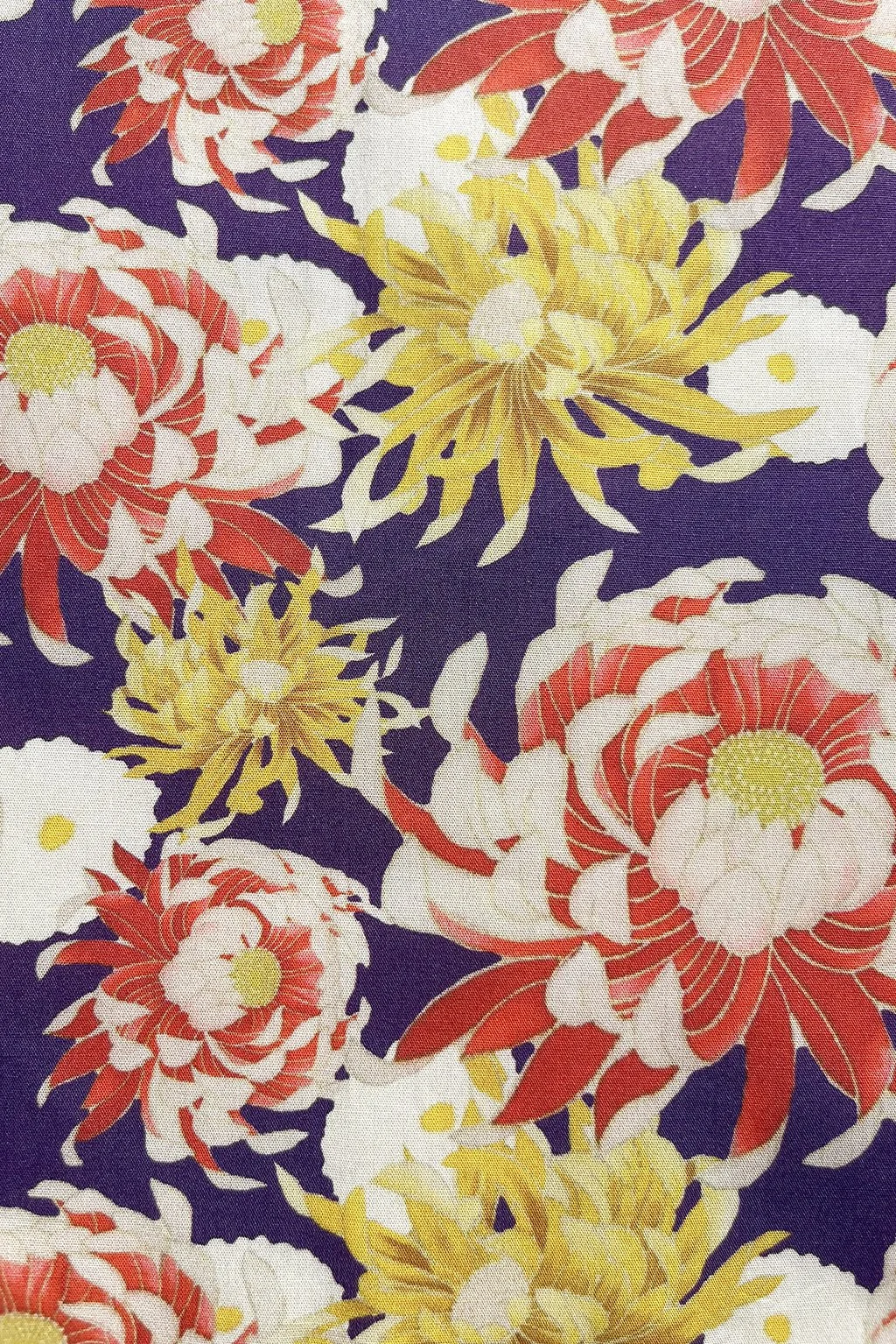 Chrysantemum remnant.jpg