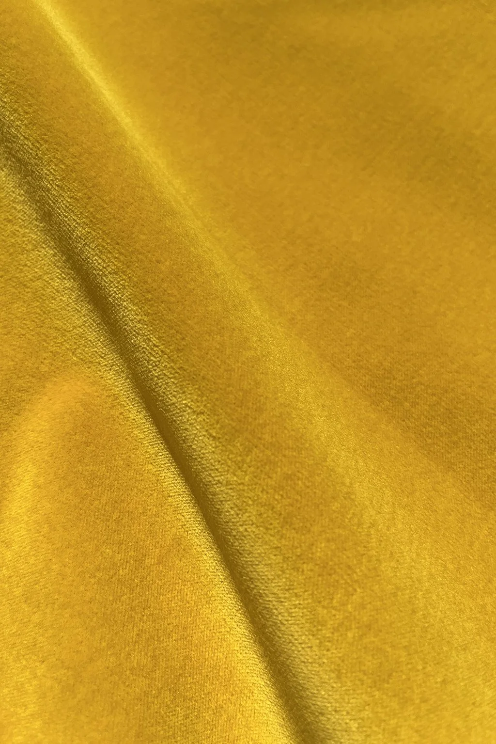 Italian cotton velvet in mustard yellow.jpg