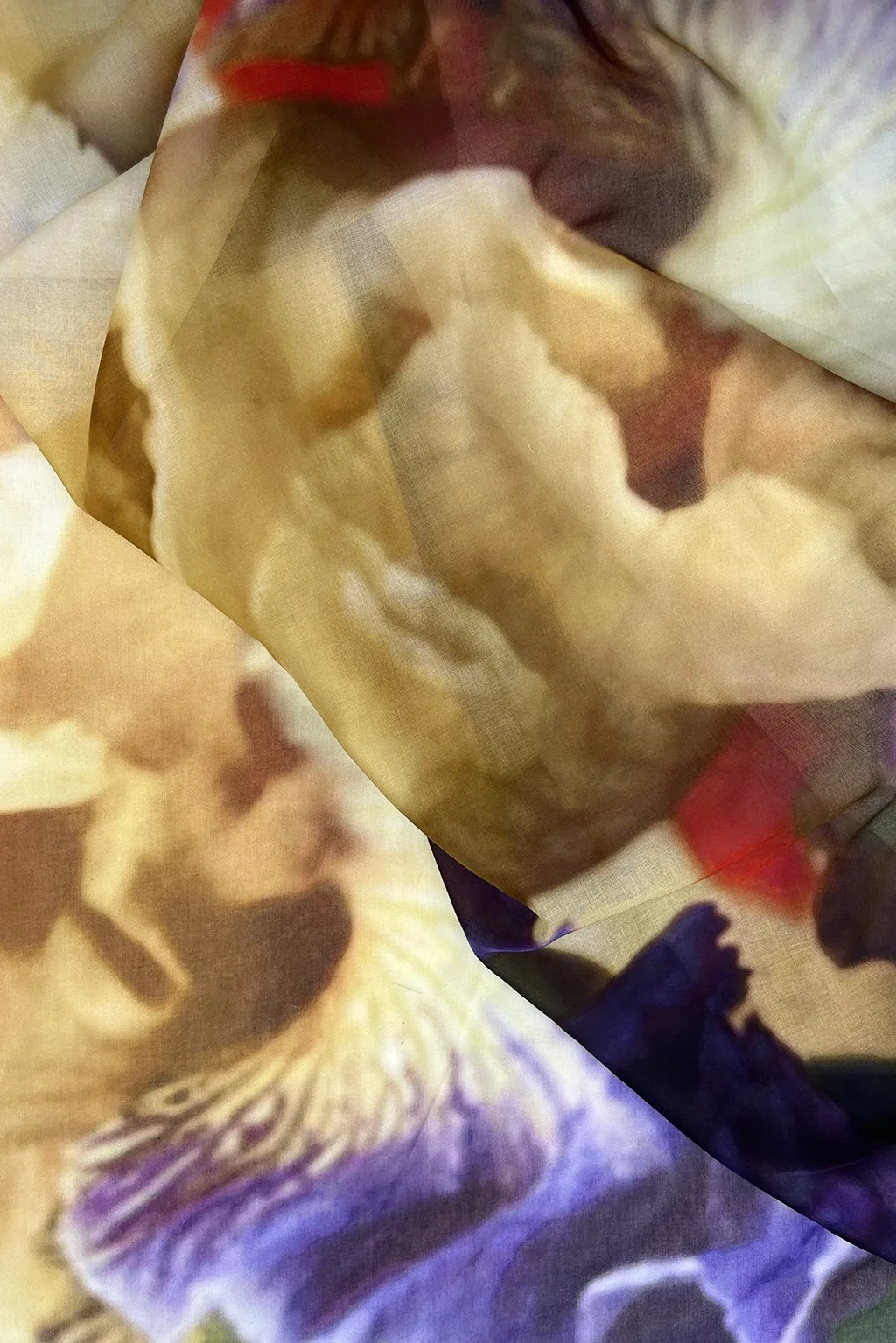 iris voile1.jpg