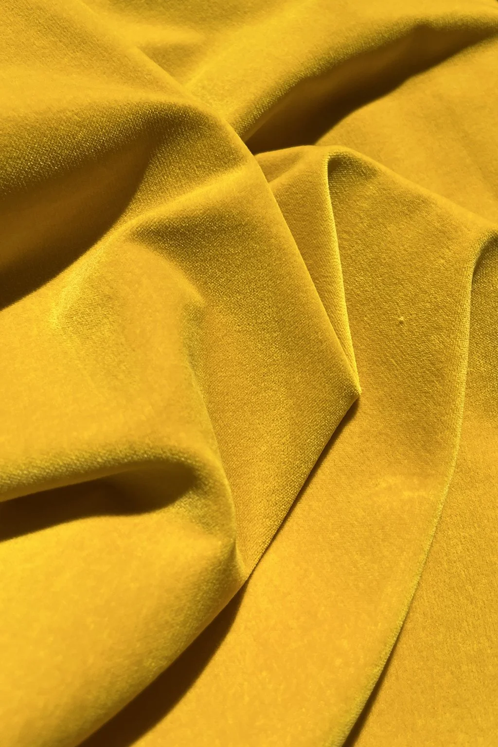 Italian cotton velvet in mustard yellow f.jpg