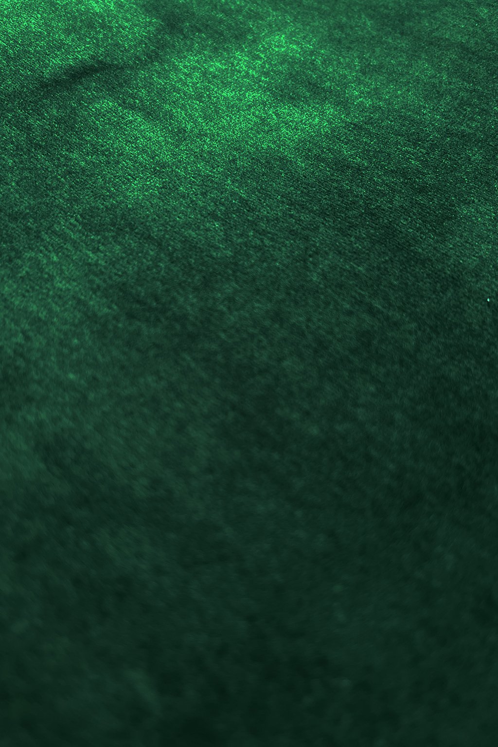 bottle green velvet jersey3.jpg