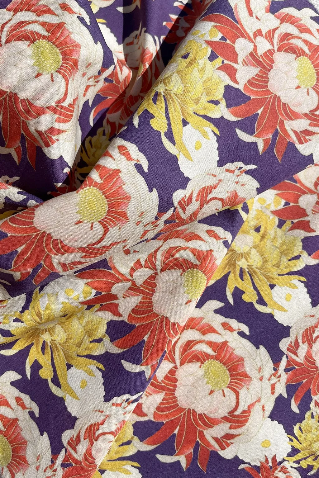 Chrysantemum remnant3.jpg