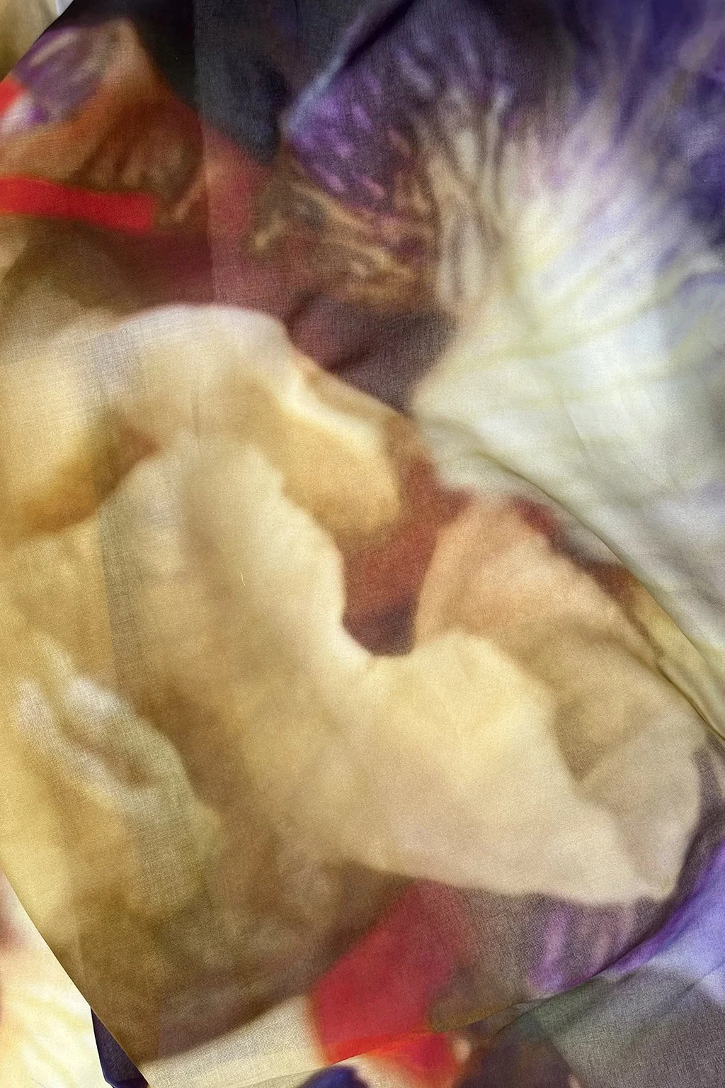 iris voile3.jpg
