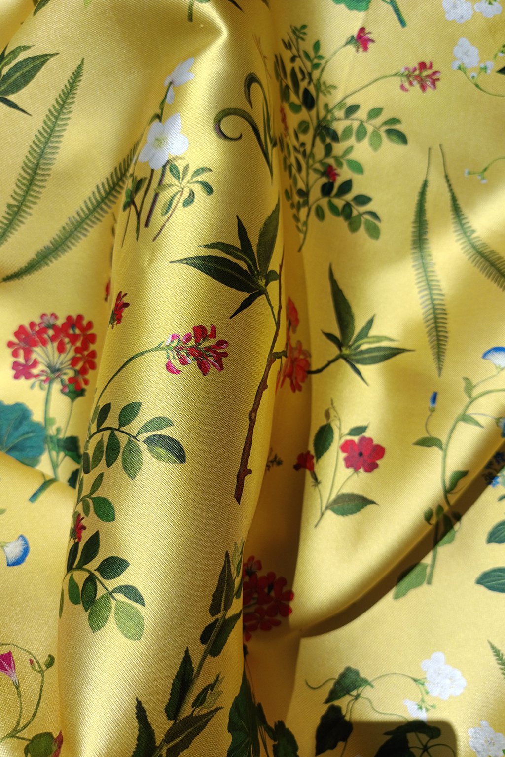 geranium yellow2.jpg