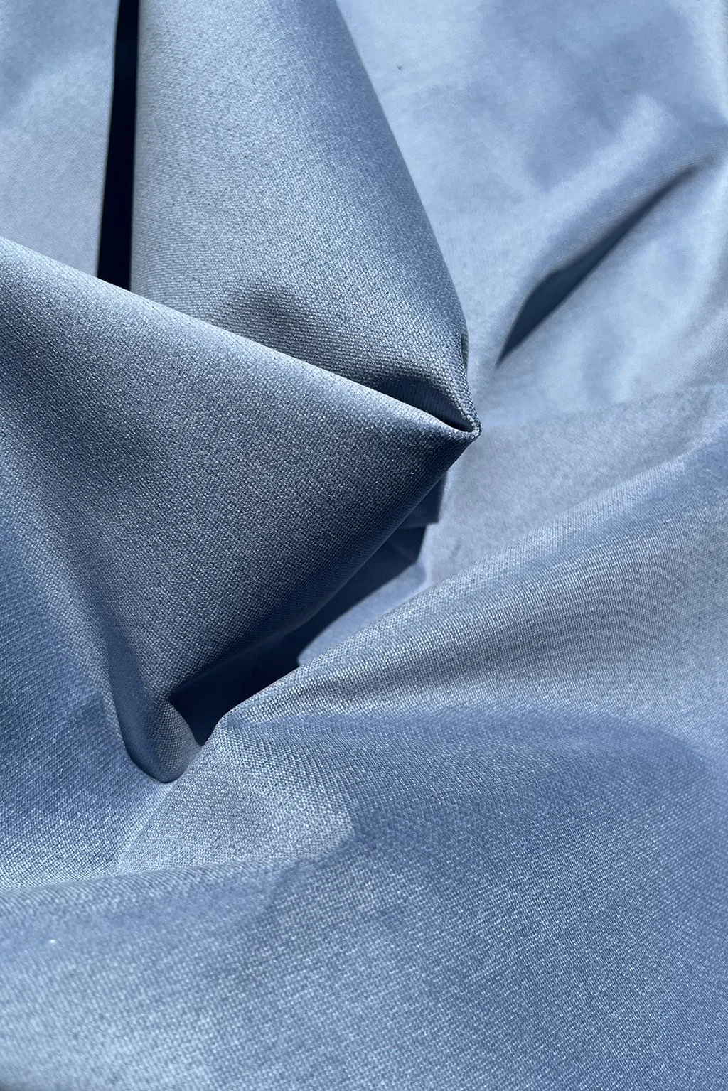 cotton velvet a.jpg