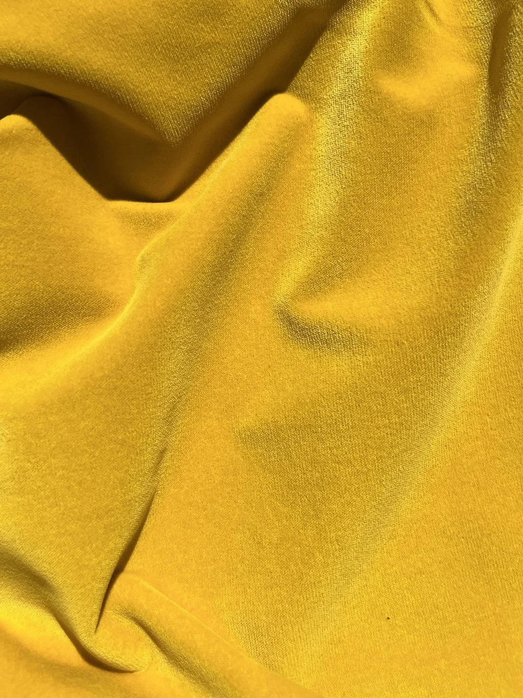 Italian cotton velvet in mustard yellow d.jpg