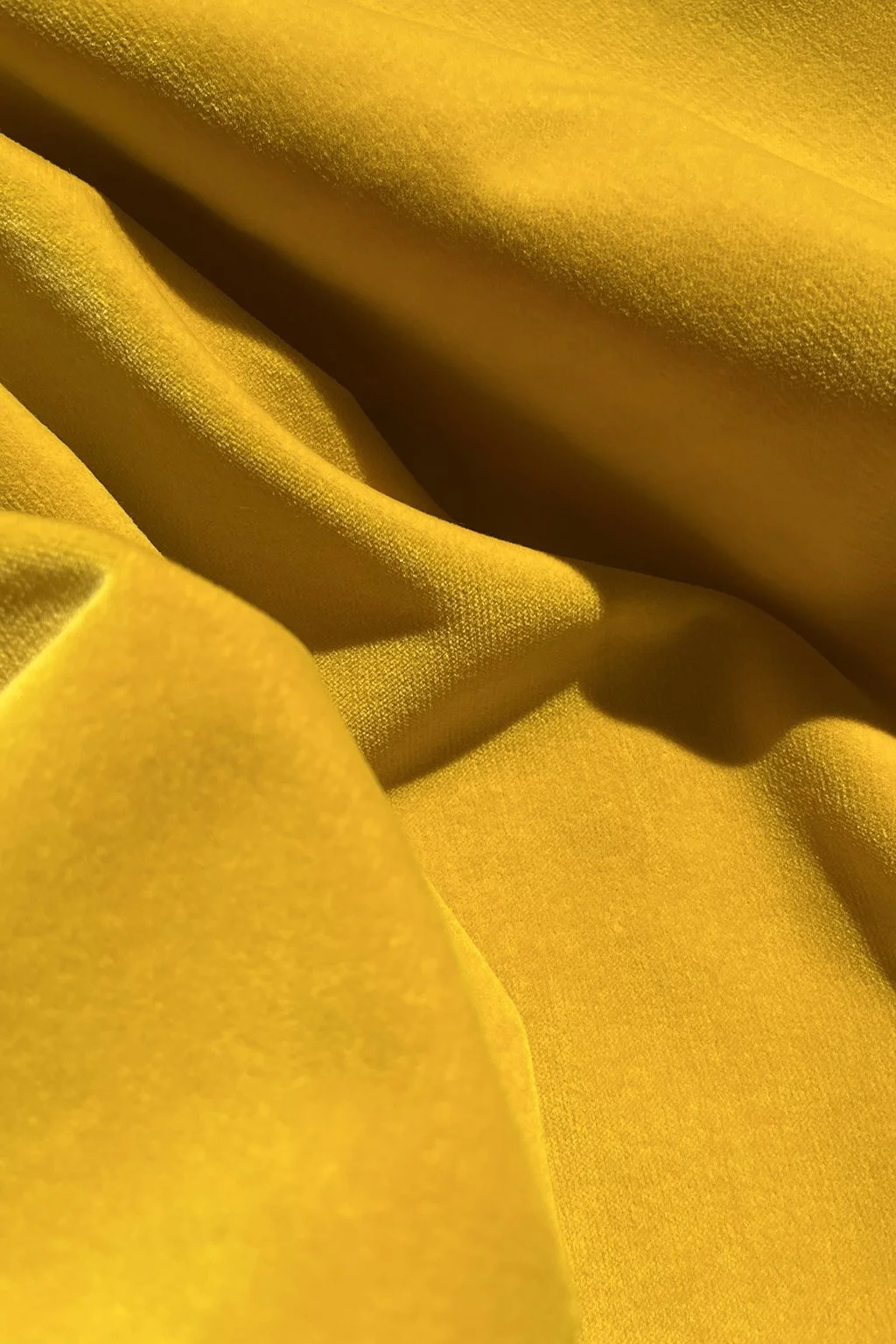 Italian cotton velvet in mustard yellow a.jpg
