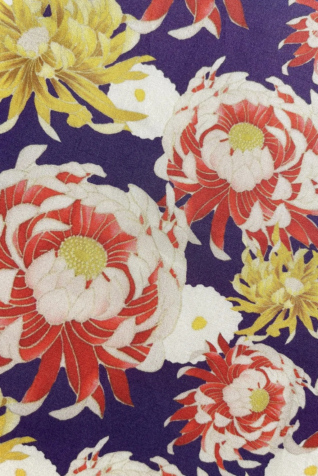 Chrysantemum remnant a.jpg