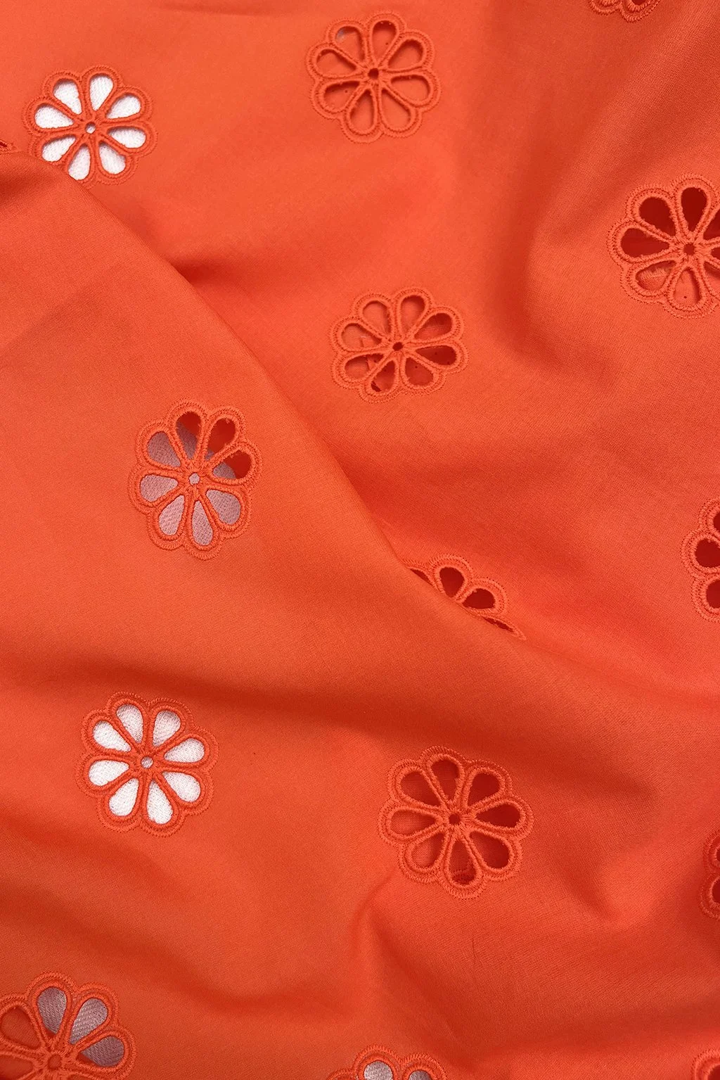 broderie in scarlet b.jpg