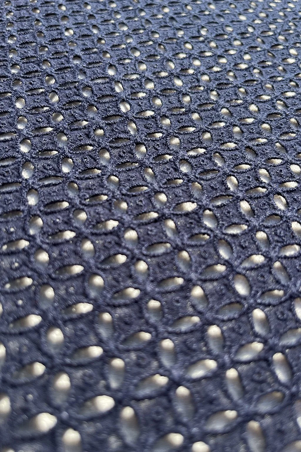 Broderie anglais remnant a.jpg