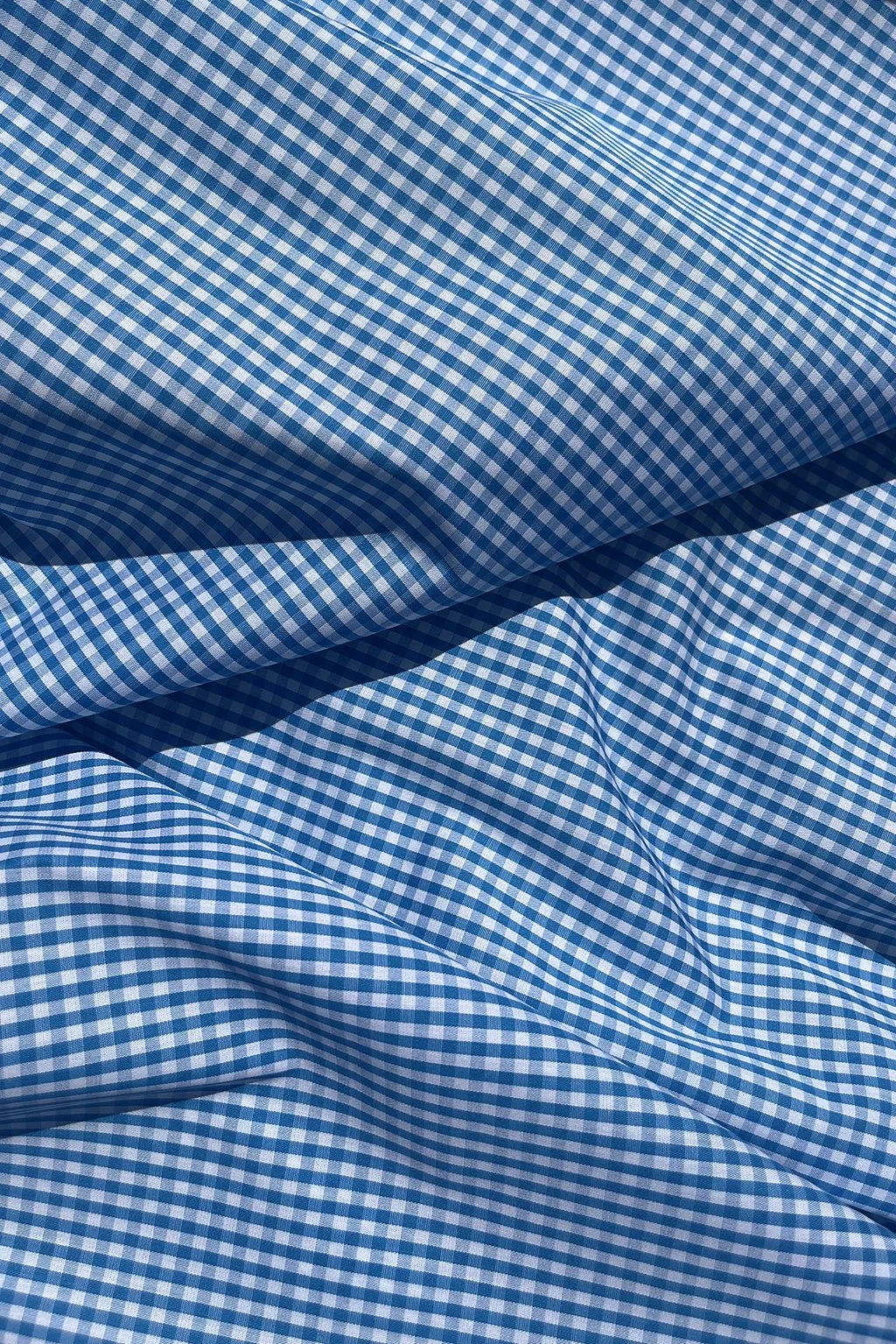 mini gingham in cerulean blue3.jpg
