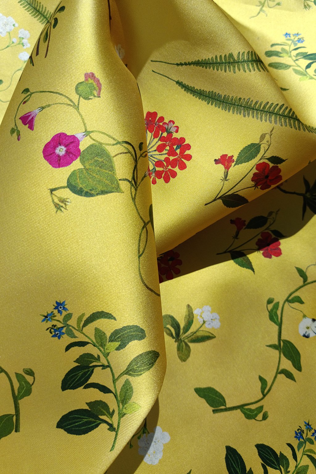 geranium yellow6.jpg