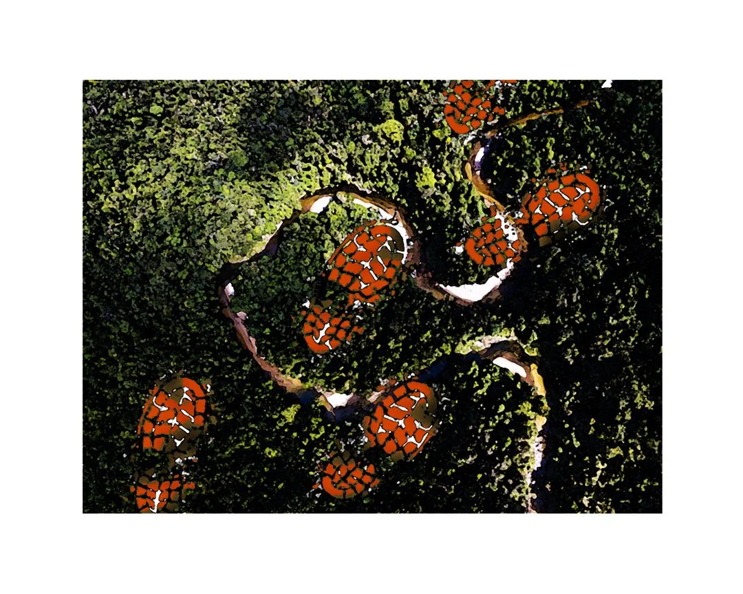Rainforest Footsteps