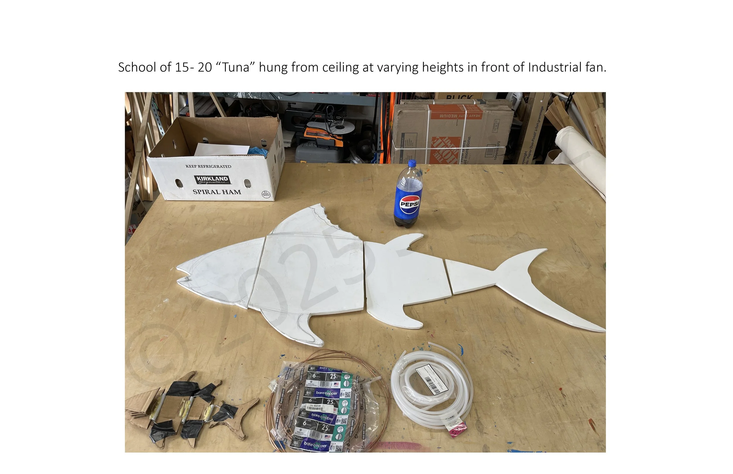 Page 1c fish.jpg