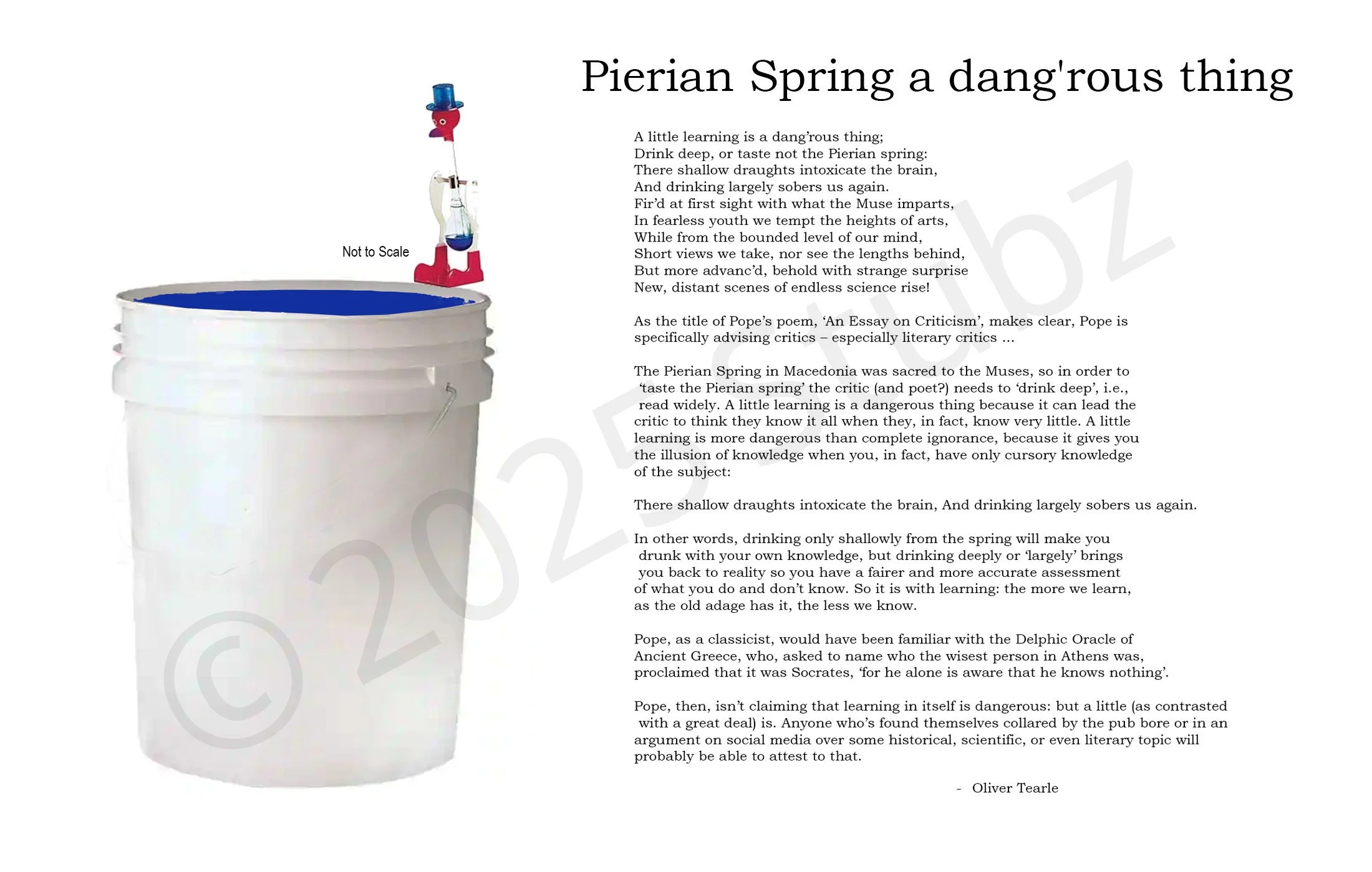 Page 1c Drinking Bird.jpg