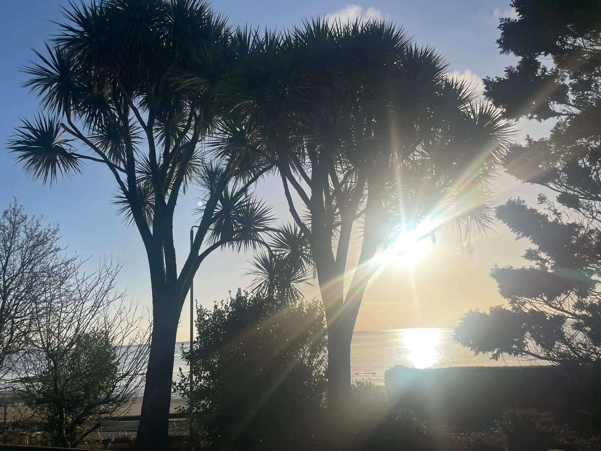   Tropical Smiddy Sunrise  