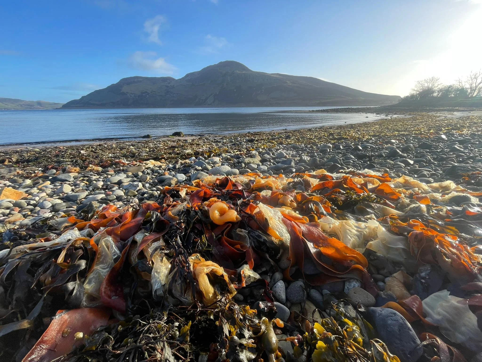   Morning Colour, Kingscross Point  
