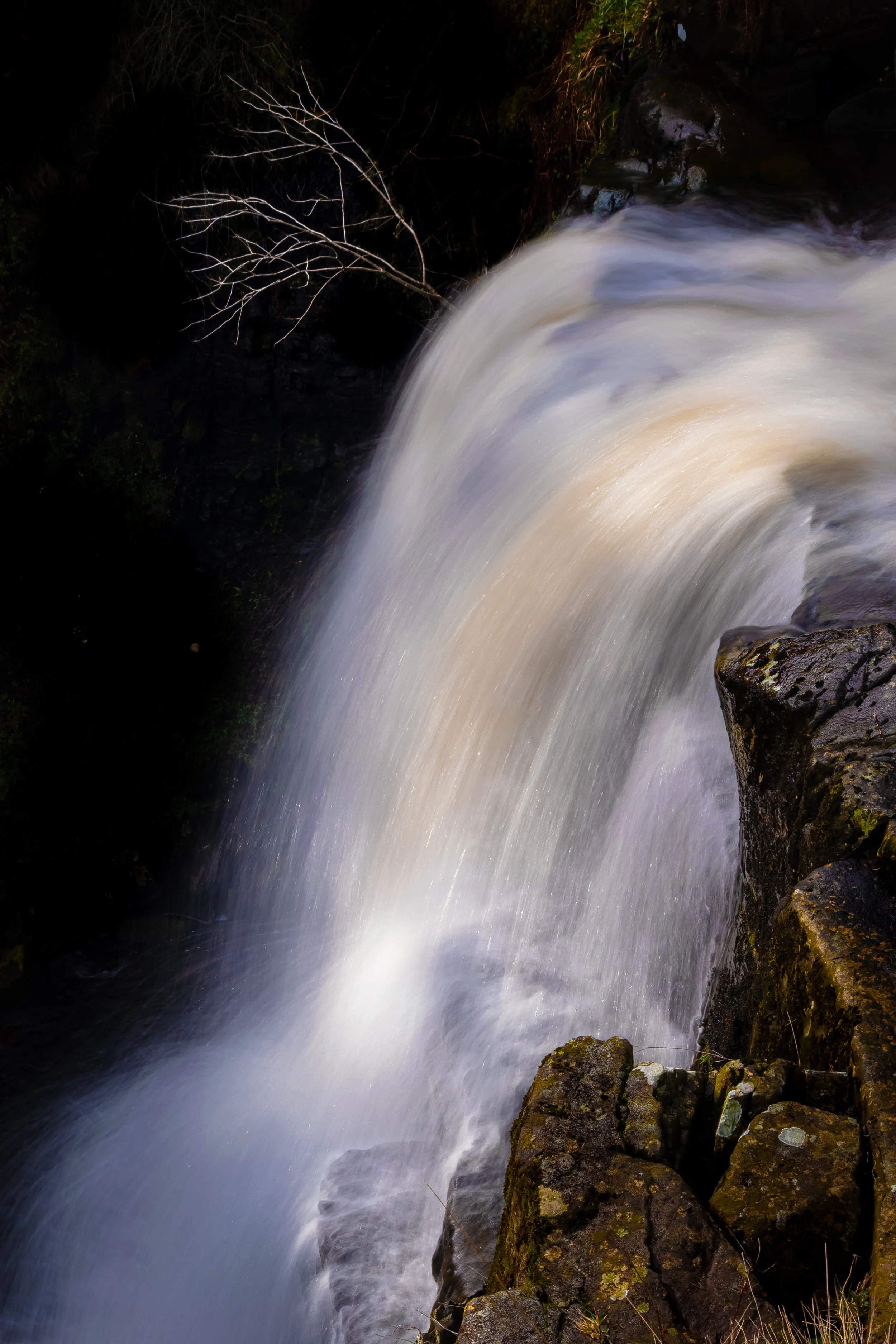 20260410 DSCF5163 (3) (LR_JFull).jpg