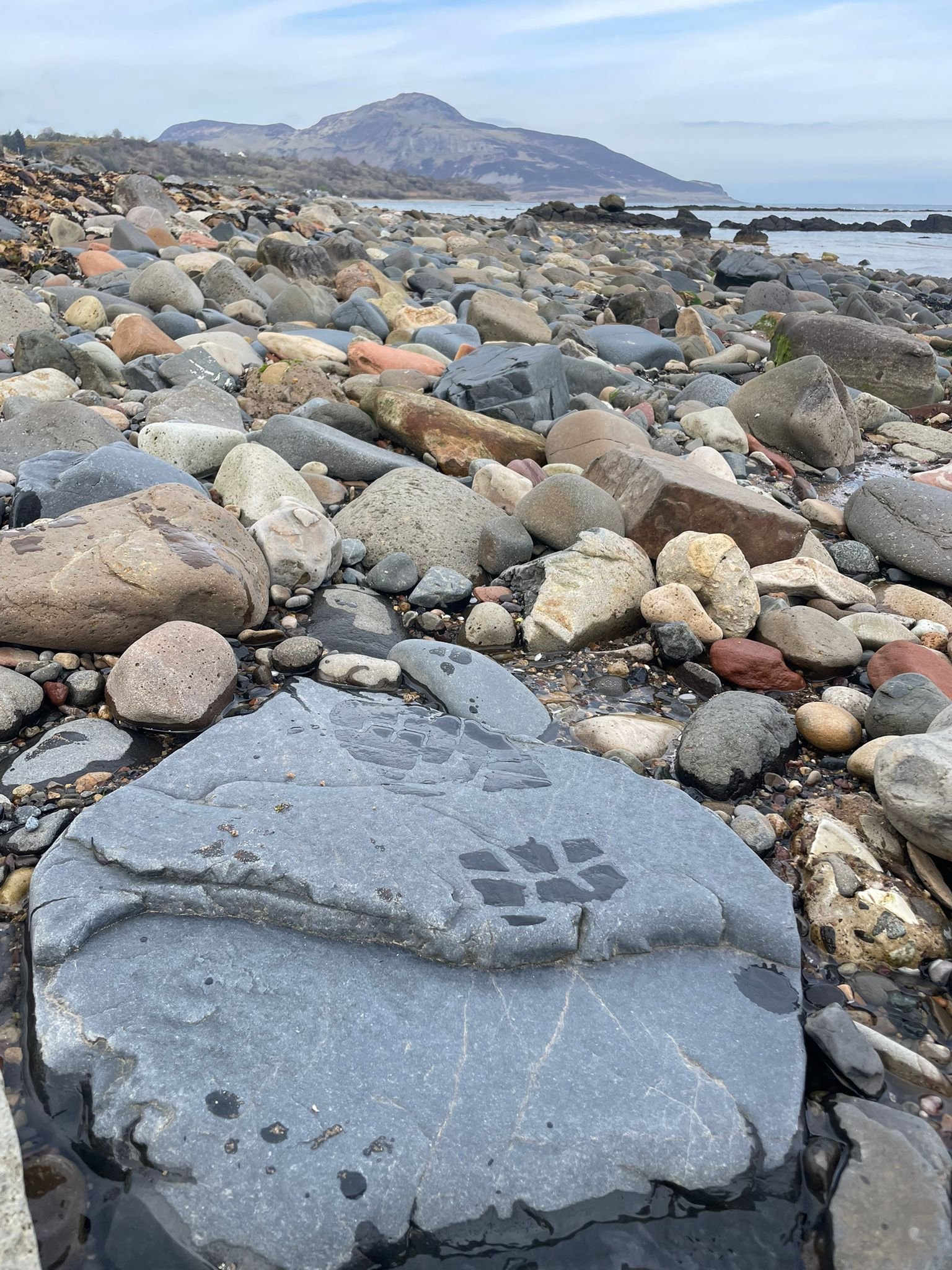   The Rocky Road to Holiness  