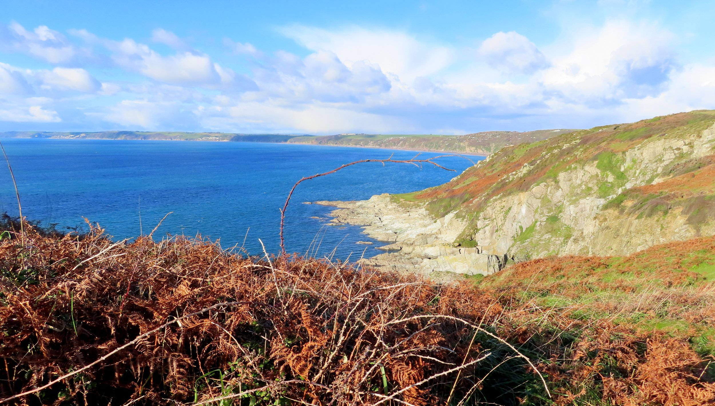   Whitsand Bay (Viewed from Rame Head)  