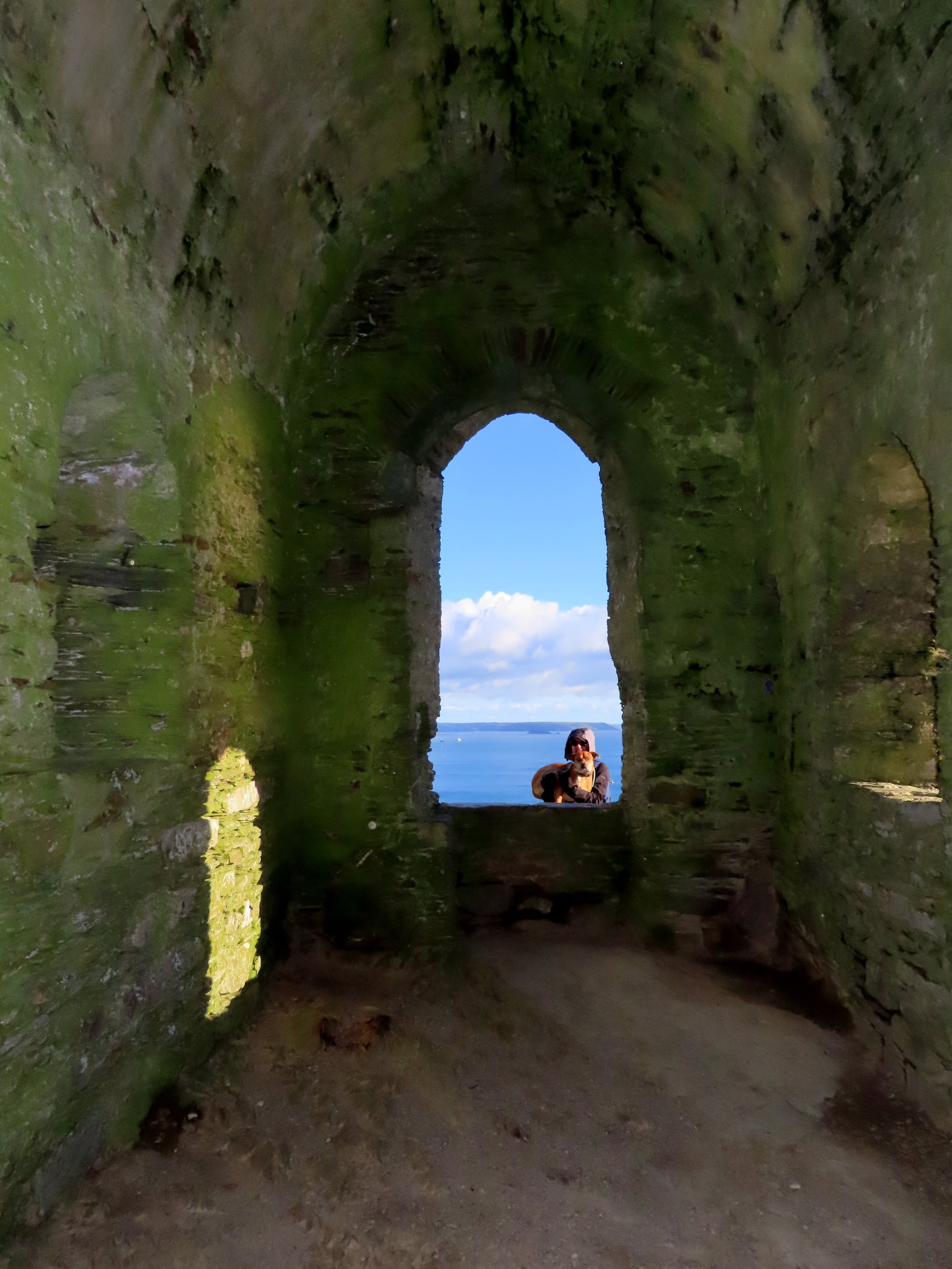   The Arched Window, Pic#2 (Dog & flash)  