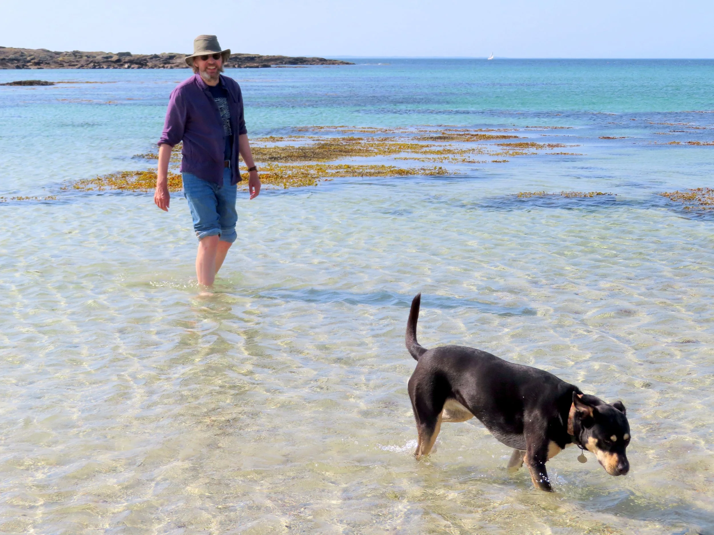   No More Doggy Paddle: Heading for Shore (Photo by Karen Scott)  