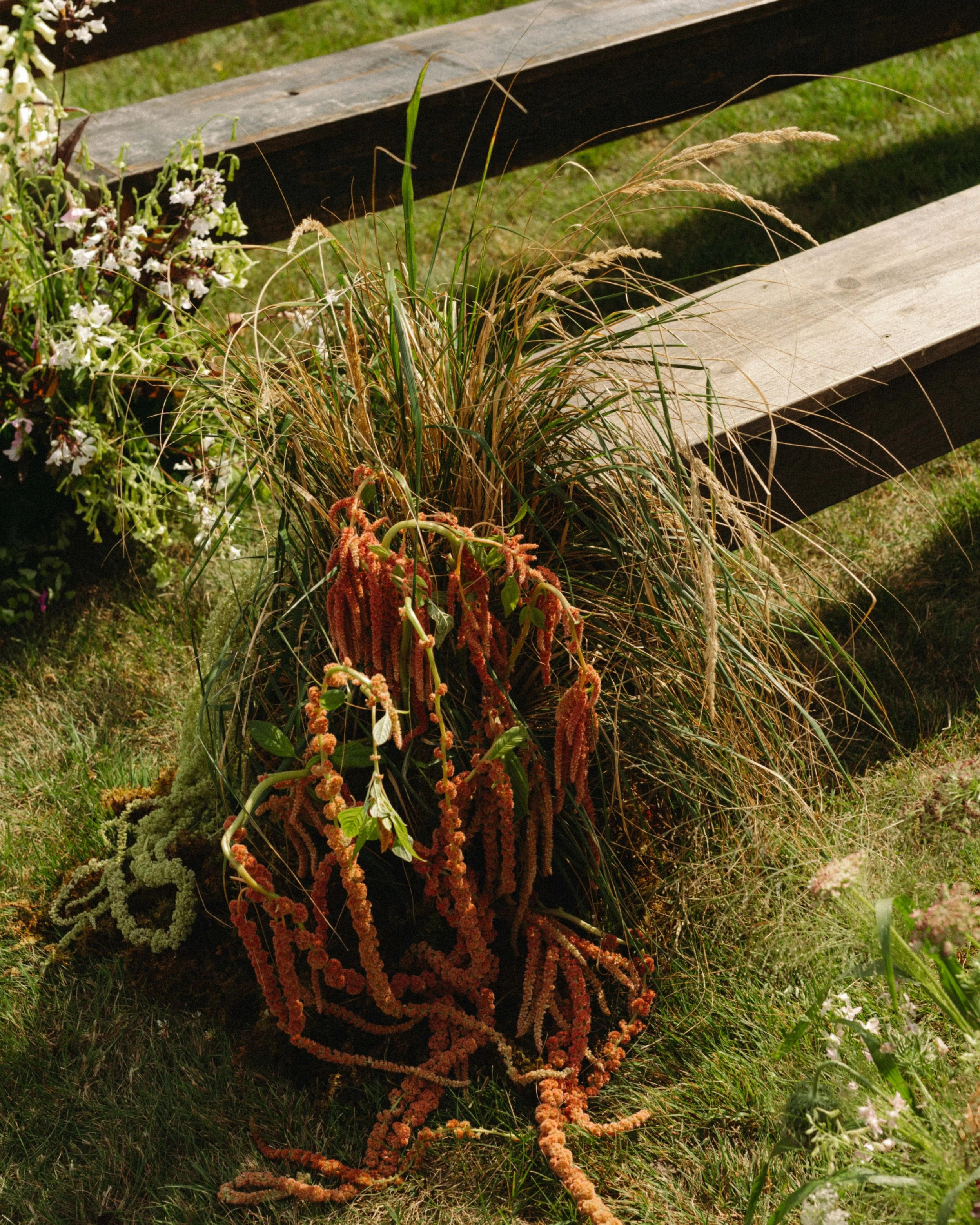 A coastal ceremony intentionally untamed for C&amp;C's Maine wedding.

Photo: @harper.photo.co
Venue: @theedgemaine
Florals: @abbygardenfloral
Rentals: @wallaceevents @afamilyaffairmaine
Linens: @bbjlatavola @stradleydavidson
Lighting: @griffingriffi