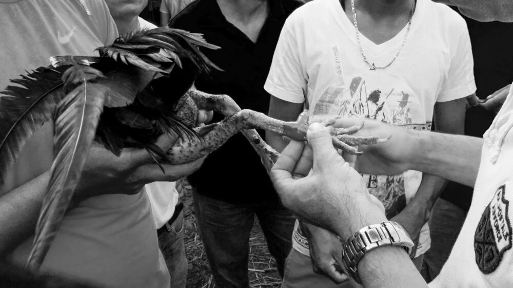 sans titre (6 sur 8).jpg