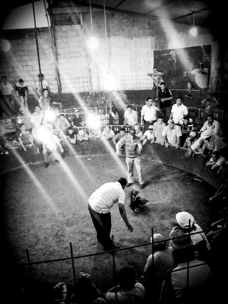 sans titre (8 sur 8).jpg