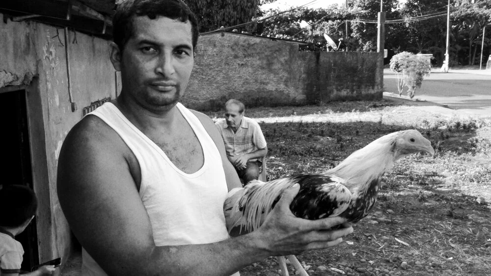 sans titre (1 sur 8).jpg