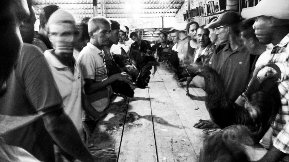 sans titre (7 sur 8).jpg