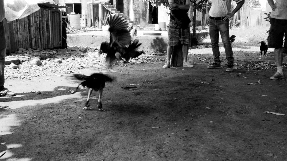 sans titre (5 sur 8).jpg