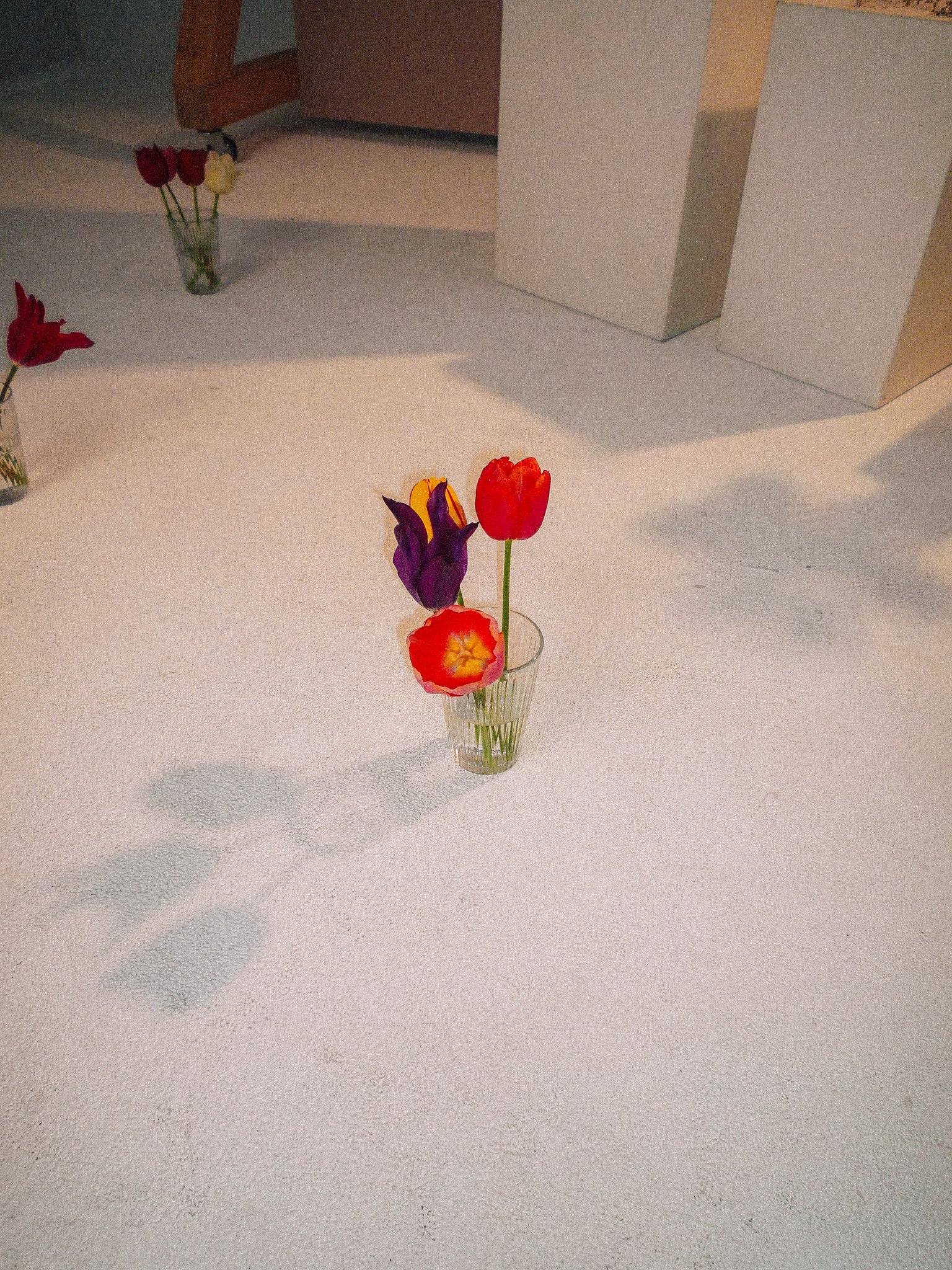 P1080414.jpg