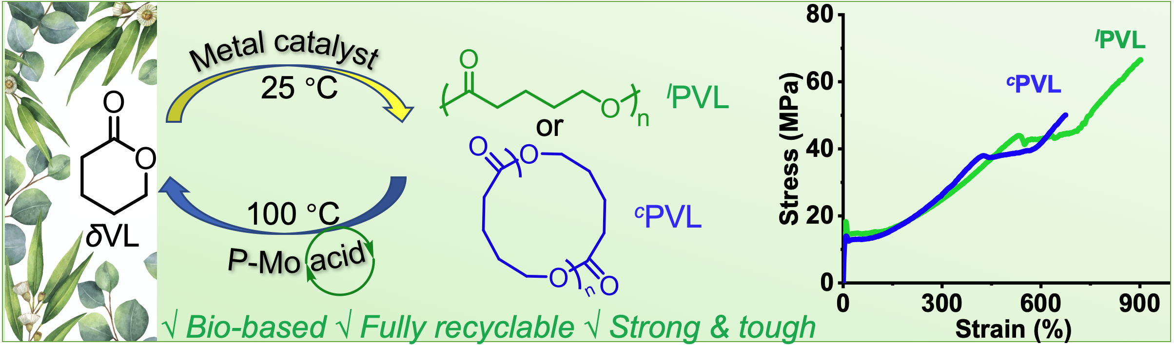 Recyclable cyclic bio-based acrylic polymer via pairwise monomer  enchainment by a trifunctional Lewis pair