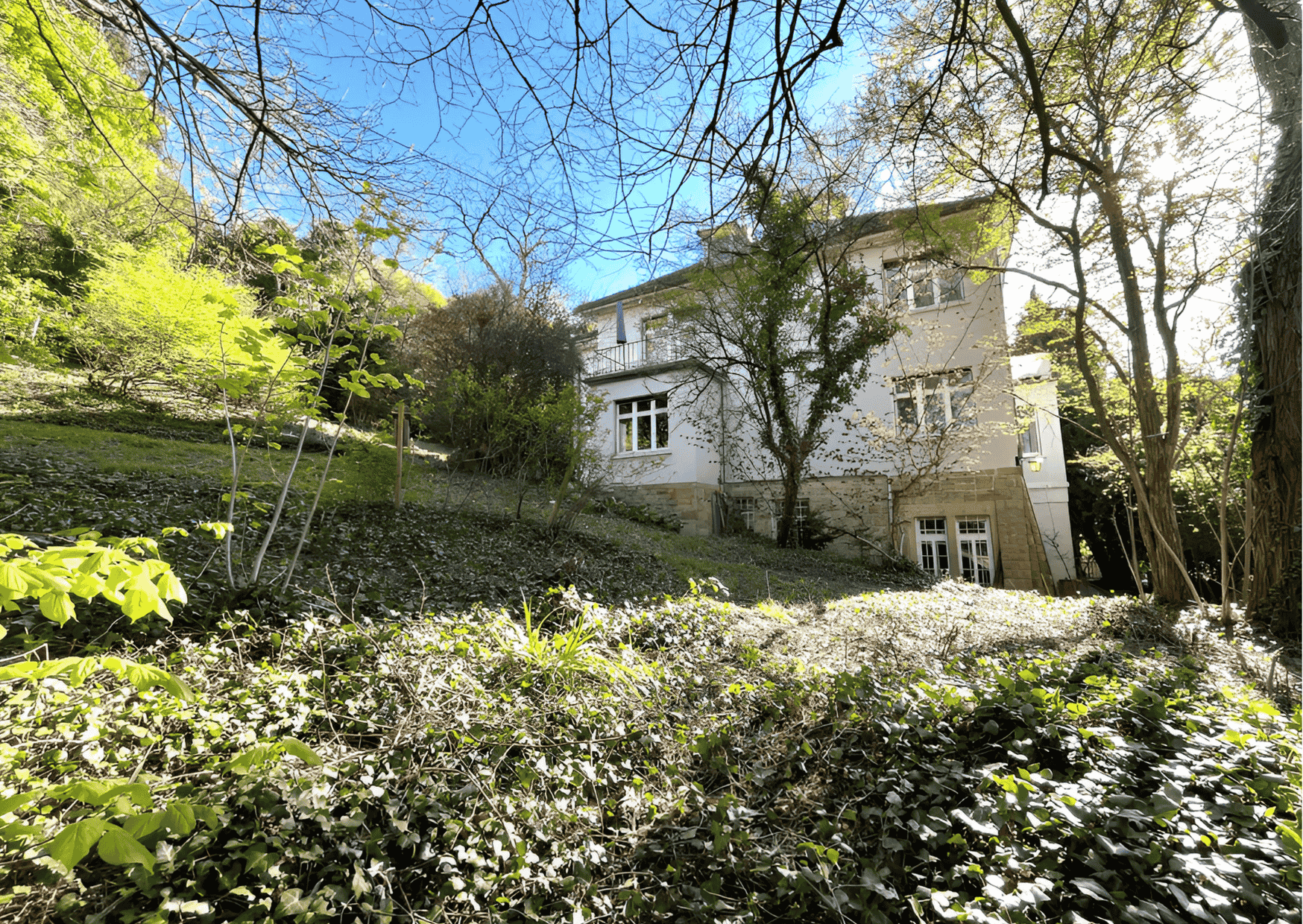 Baumbestand und Garten mit freistehendem Einfamilienhaus in Durlach-Immobilienmakler in Durlach Landauf & Co.