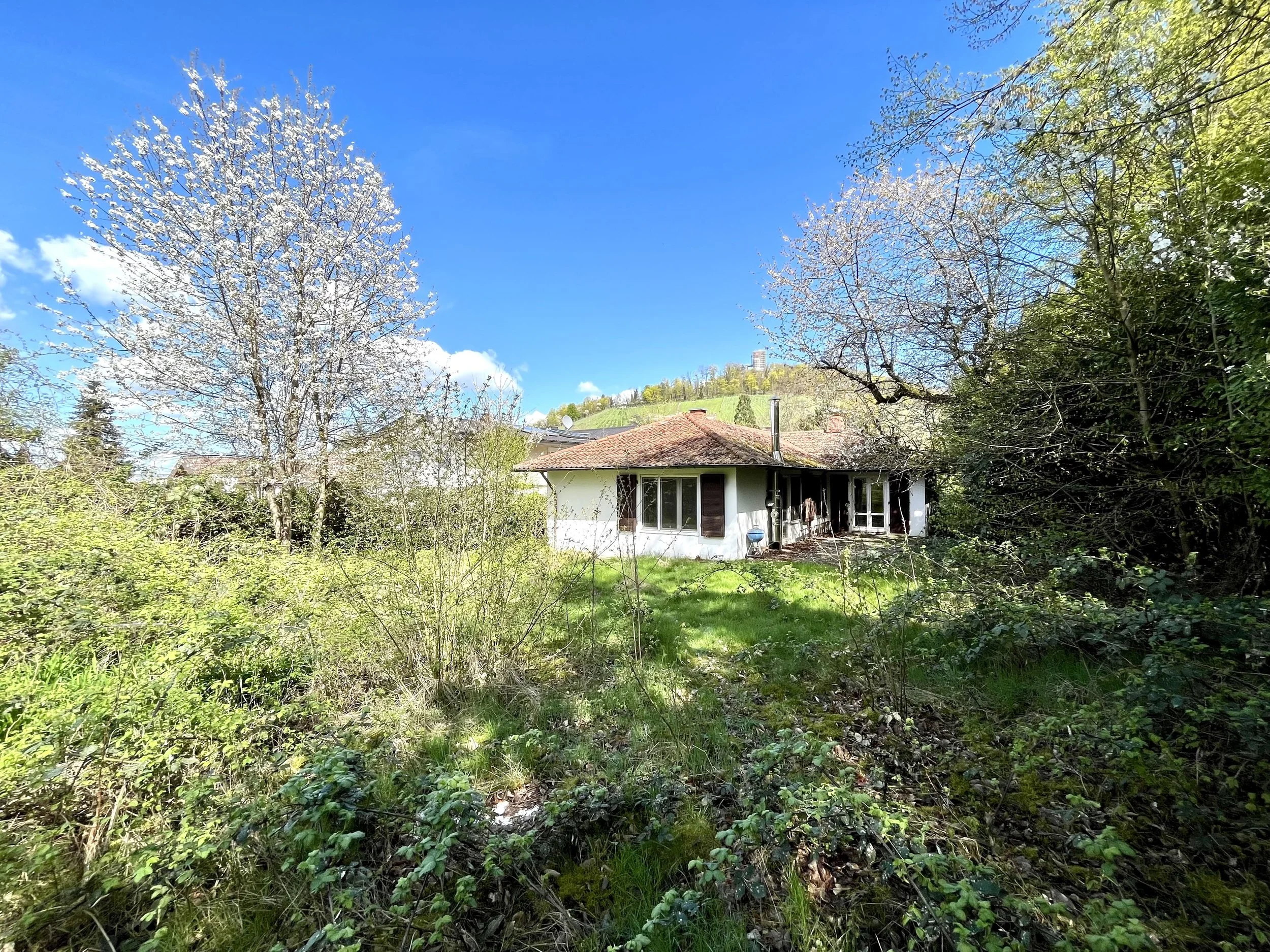 Reizvoller Bungalow mit Turmbergblick_Landauf & Co.