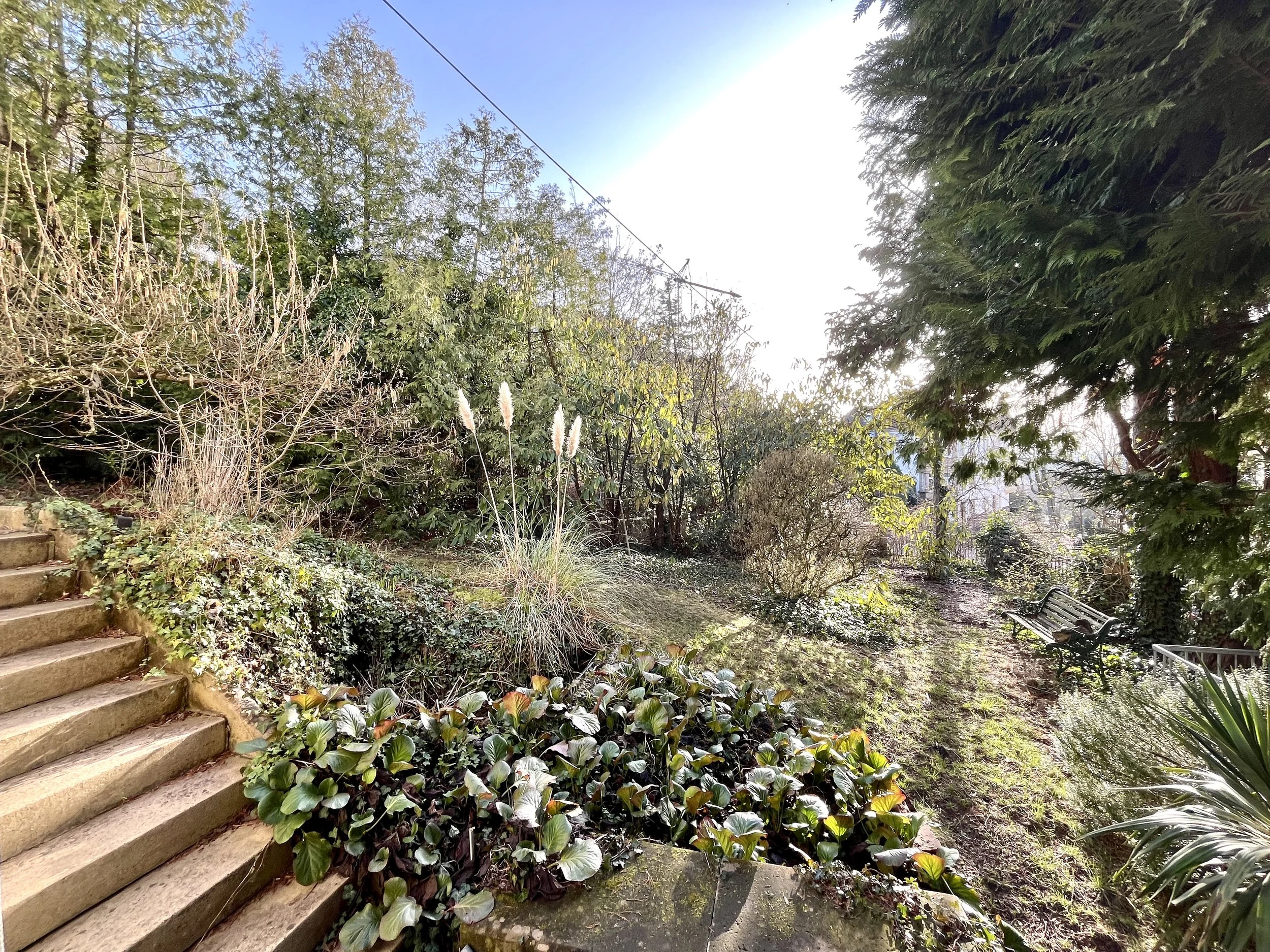 Garten mit Treppe und Blick in den Garten-Immobilienmakler in Durlach Landauf & Co.