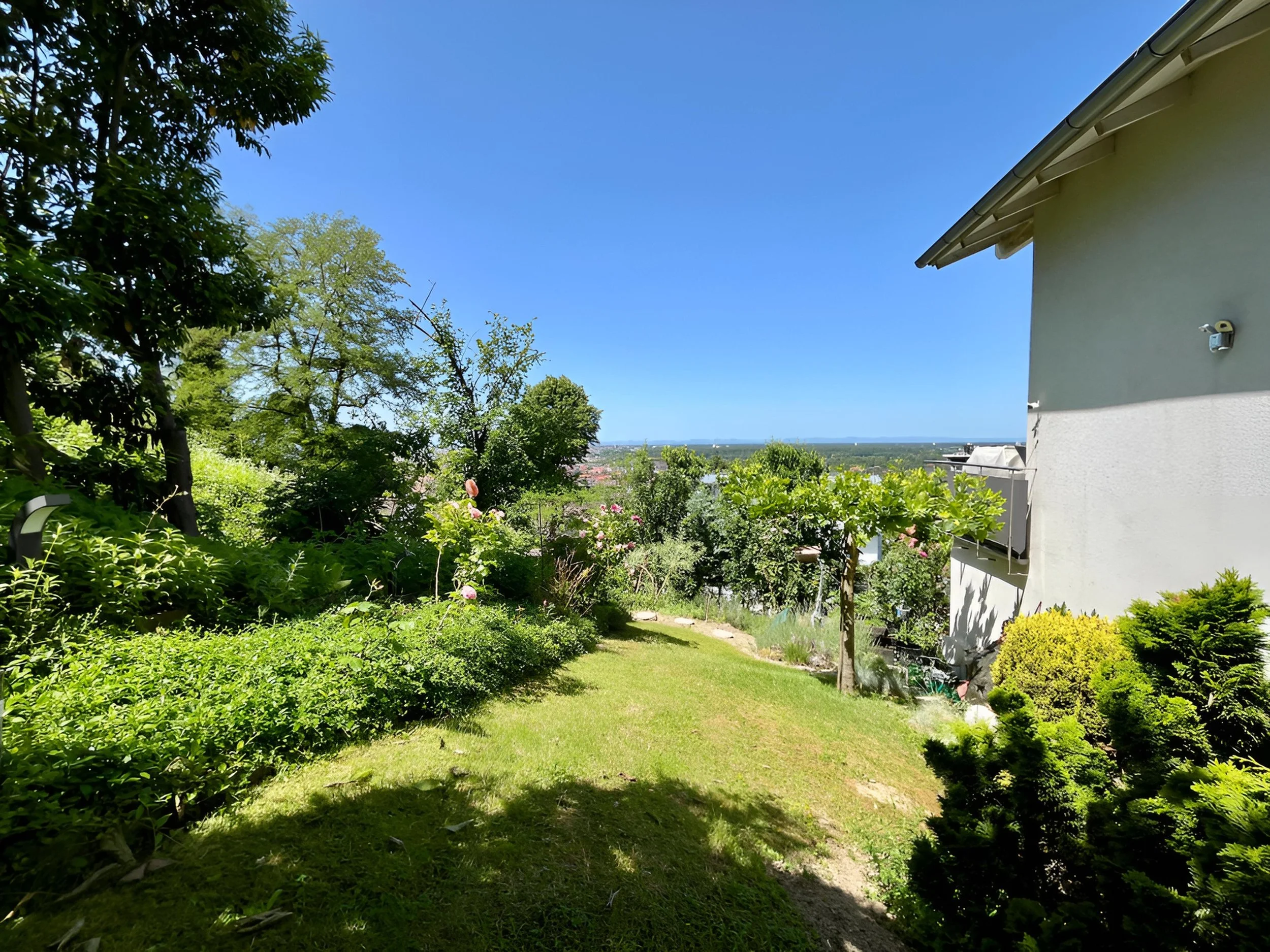 Ausblick.jpg