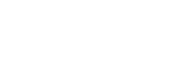 NimbleWorkshop