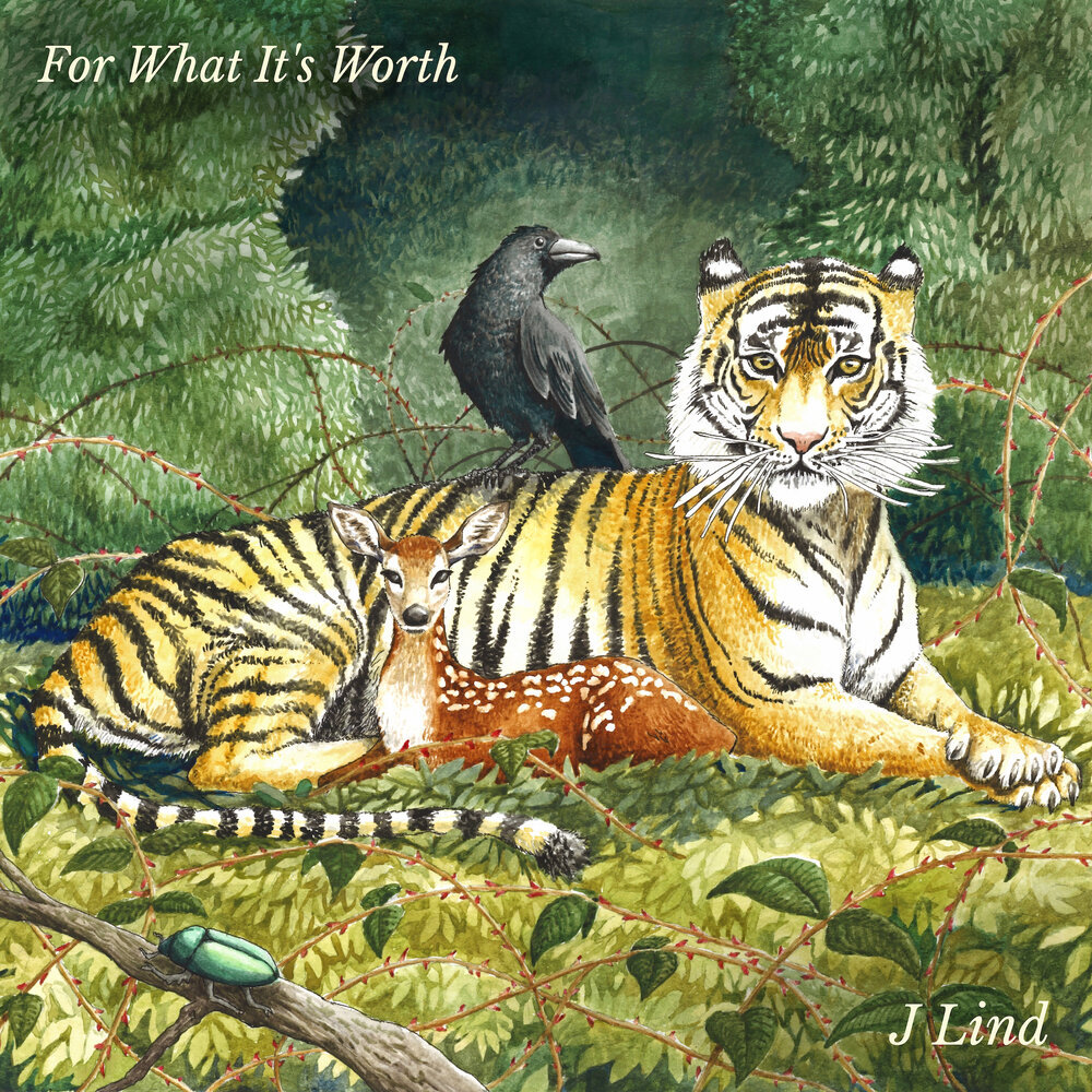 FWIW_Album+Art_Smallest.jpeg