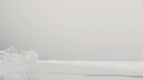 rf2.gif